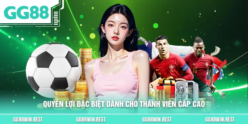 Quyền lợi đặc biệt dành cho thành viên cấp cao